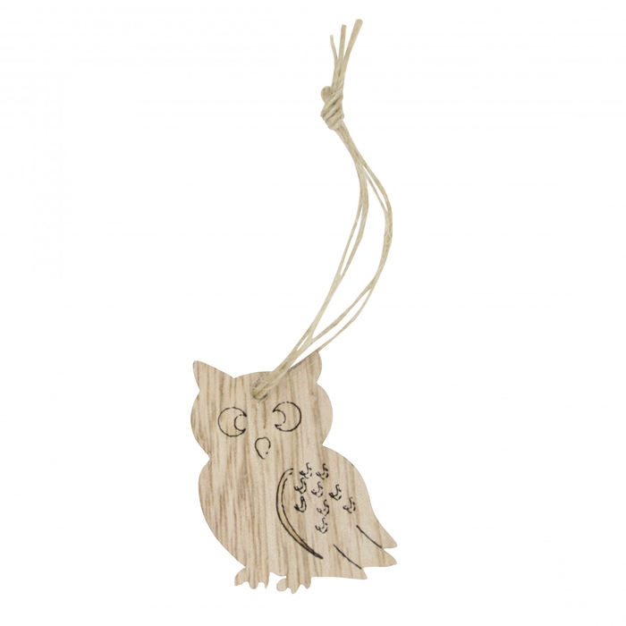 Herfst Deco hanger uil 5cm x24