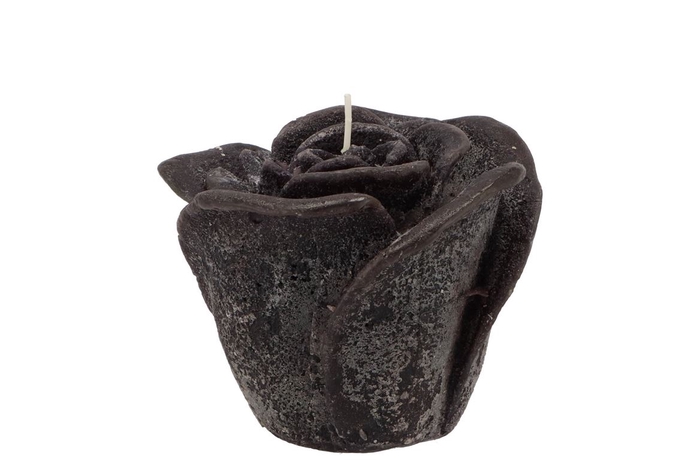 Candle Roos Black 8x7cm