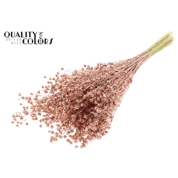 <h4>Lino Vlas p/bunch in poly Copper</h4>