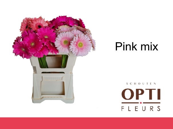 <h4>GE GR LILA PINK MIX-Water</h4>