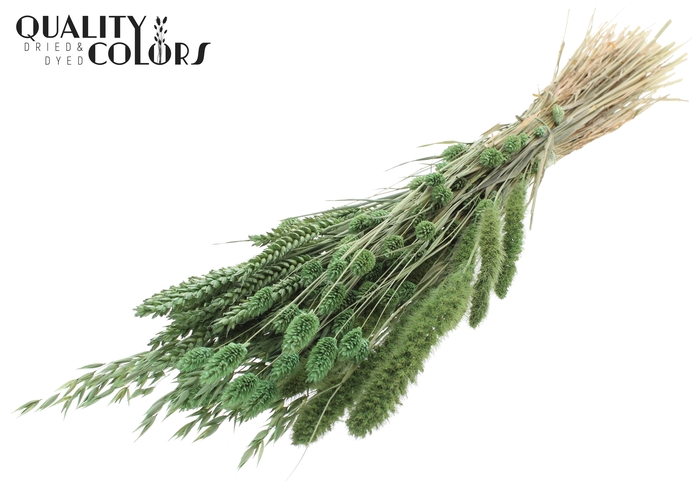 <h4>Dried Flower mix bunch Frosted Mint Green</h4>