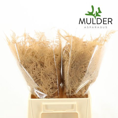 <h4>ASP OV KLB H%</h4>