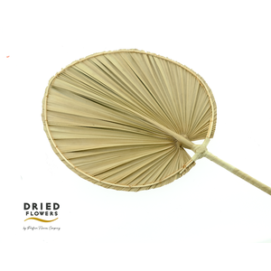 Dried Palm Deco Midle Round