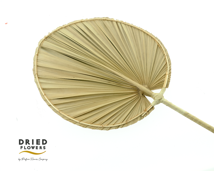 <h4>Dried Palm Deco Midle Round</h4>