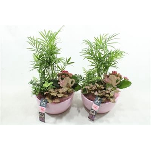 6318 KER ROZE CHAM