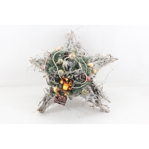 arr5 Kerst MB - Takken ster gold/re