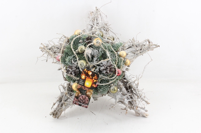 arr5 Kerst MB - Takken ster gold/re
