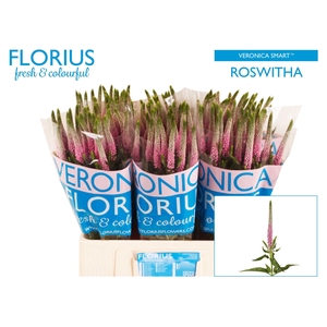 VERON SMART ROSWITHA
