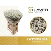 GYPS PA XLENCE 40GR