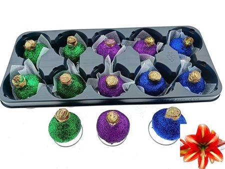 <h4>Bloembol Hippeastrum</h4>