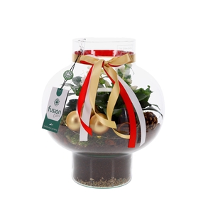 Green Bottle Laura Medium met Kerstarrangement met LED