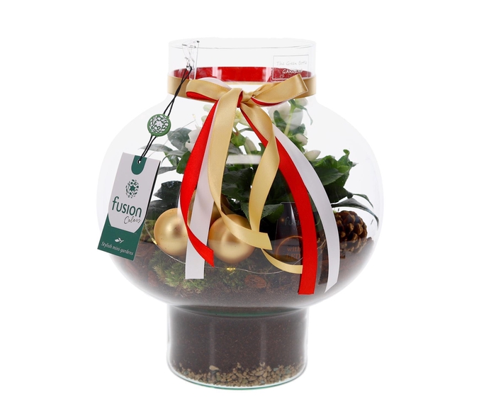 <h4>Green Bottle Laura Medium met Kerstarrangement met LED</h4>