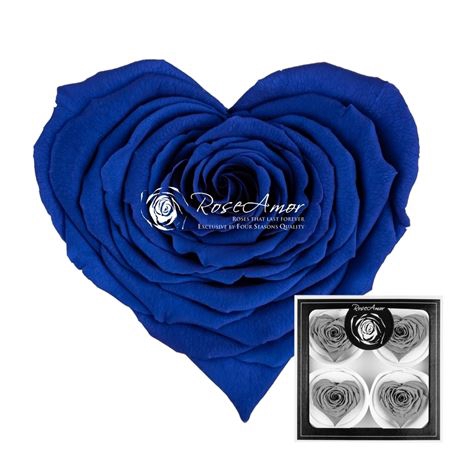 <h4>Corazon Bella Blu03</h4>