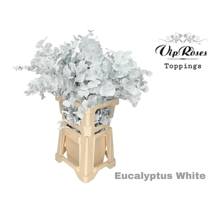 EUCA CINEREA WHITE 300GR