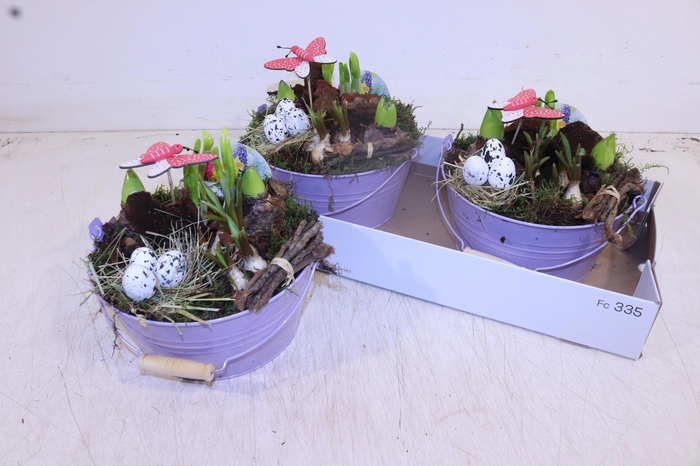 <h4>ARR BOL KNOLGEWAS</h4>