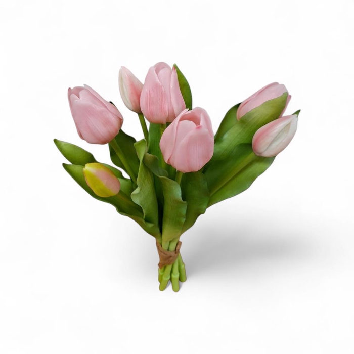 <h4>AF Tulip bundle x7 L30cm l.pi</h4>