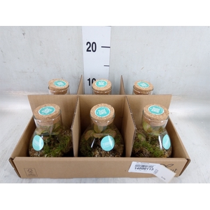 Arr.   Planten L%