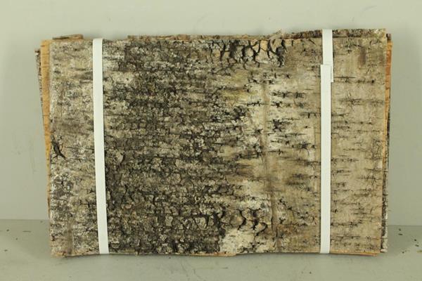 <h4>Birch Bark Pack 42x27cm(7p)nat</h4>