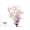 Dried Bleached Eucalyptus Populus Lavender Dream