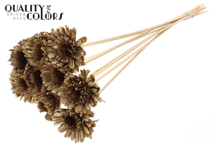 Shola Daisy Sunflower 6cm on stem Antique Gold