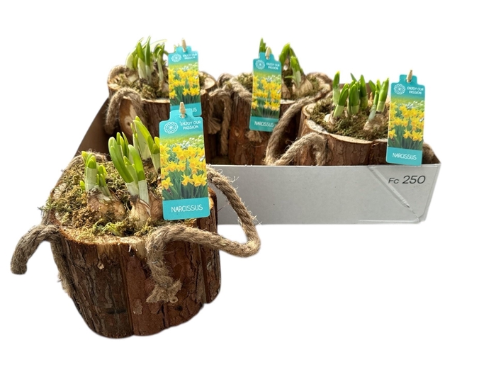 <h4>ARR N TETE A TETE</h4>