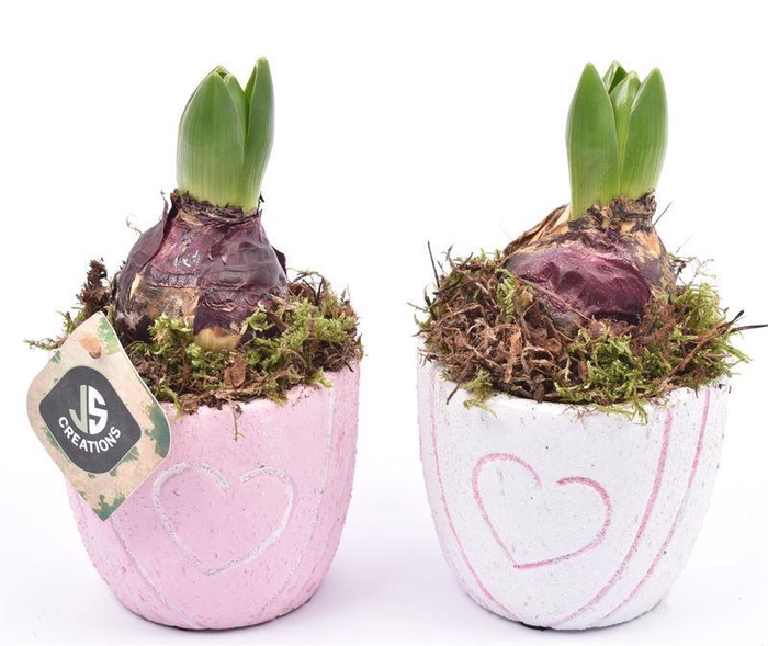 <h4>Cement pot met hart decor mix 10cm</h4>