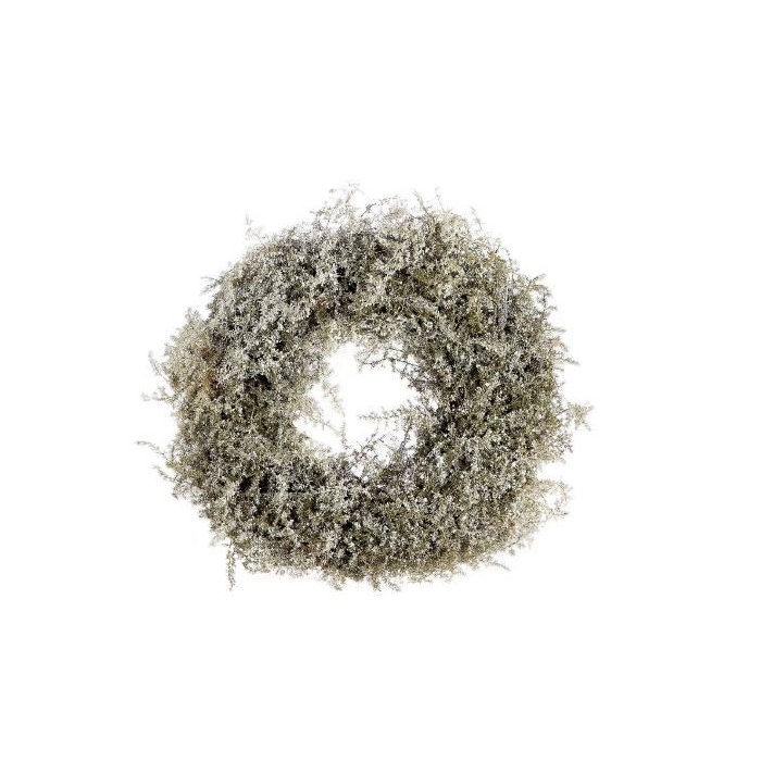 <h4>Wreath Asparagus Snow D40</h4>