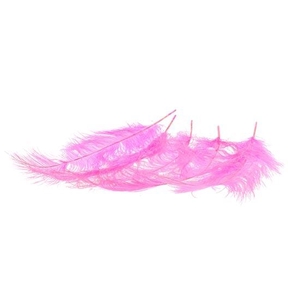 Feather Ostrich 5pcs L55