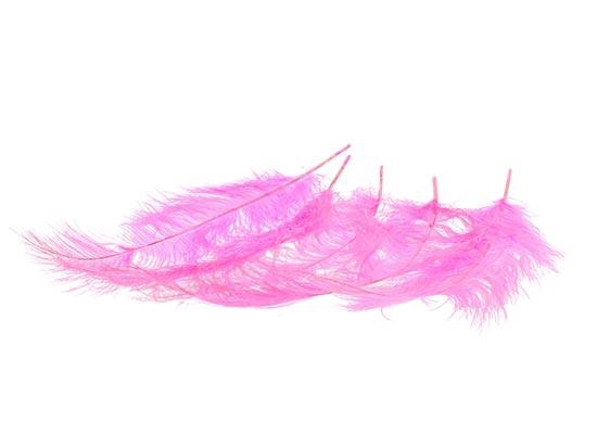 Feather Ostrich 5pcs L55