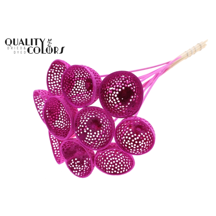 <h4>Bell Cup Jali on stem Intense Lilac</h4>