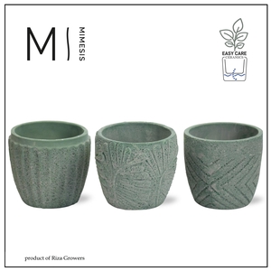 Karma - SOLO POTS - Jade mix 9 cm |
