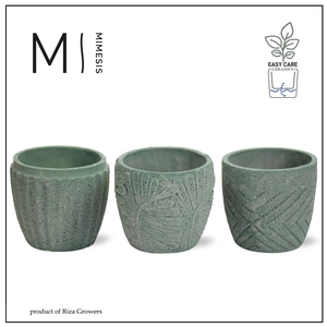 Karma - SOLO POTS - Jade mix 9 cm |