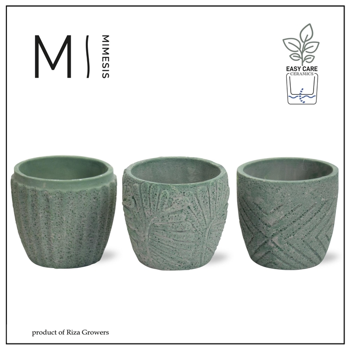 <h4>Karma - SOLO POTS - Jade mix 9 cm |</h4>