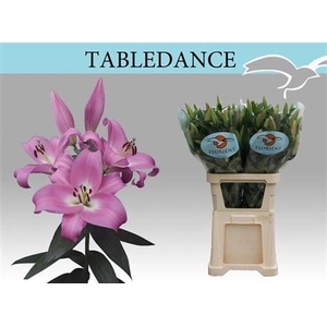 Li Ot Tabledance