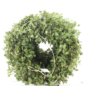 Wreath Ilex Blad X5