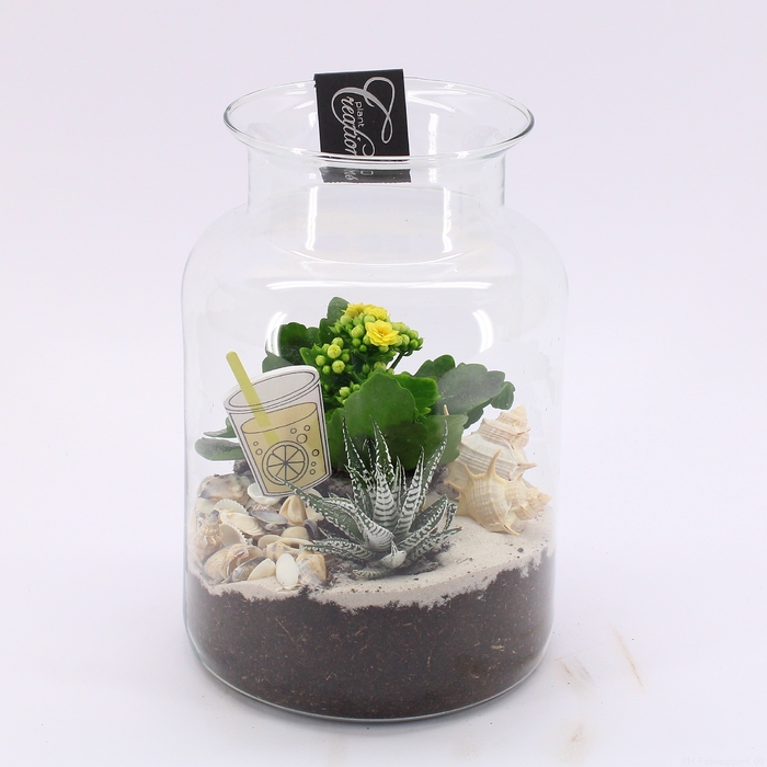 SFCR-2409 Summer Essentials terrarium