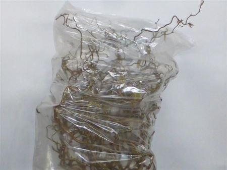 <h4>Corylus Av Contorta</h4>