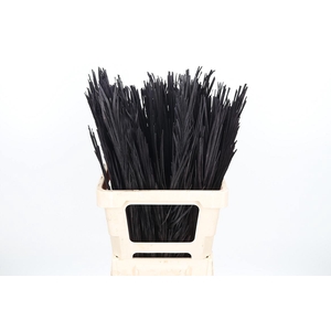 Droogbl Bew 17,5% St