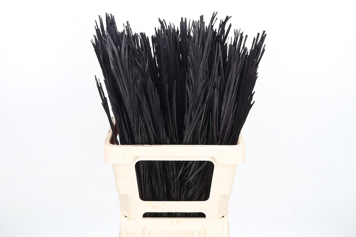 <h4>Droogbl Bew 17,5% St</h4>