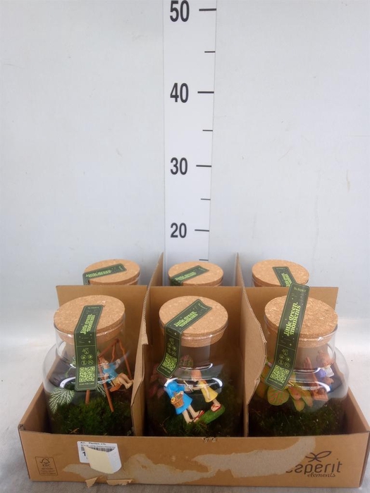 <h4>Arr.    Planten  L%</h4>