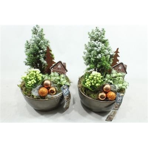 9712 BRONS KER BOOMPJE