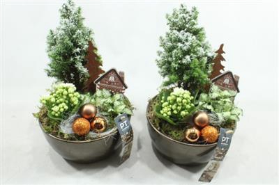 <h4>9712 BRONS KER BOOMPJE</h4>