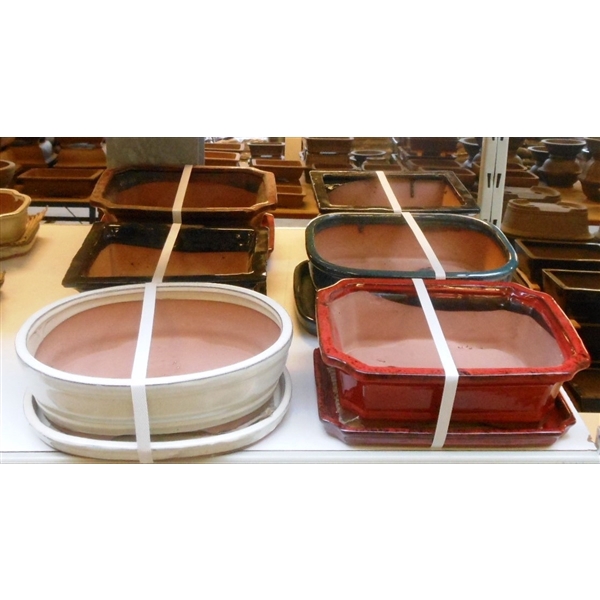 <h4>empty bonsai pots + plates, 23-27 cm. 6 pcs per box</h4>