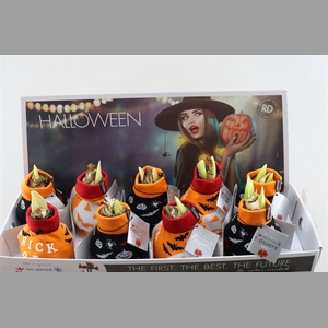 Wax Hipp Fashionz Halloween