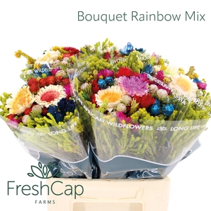 KAAPS GROE GEM IN BS