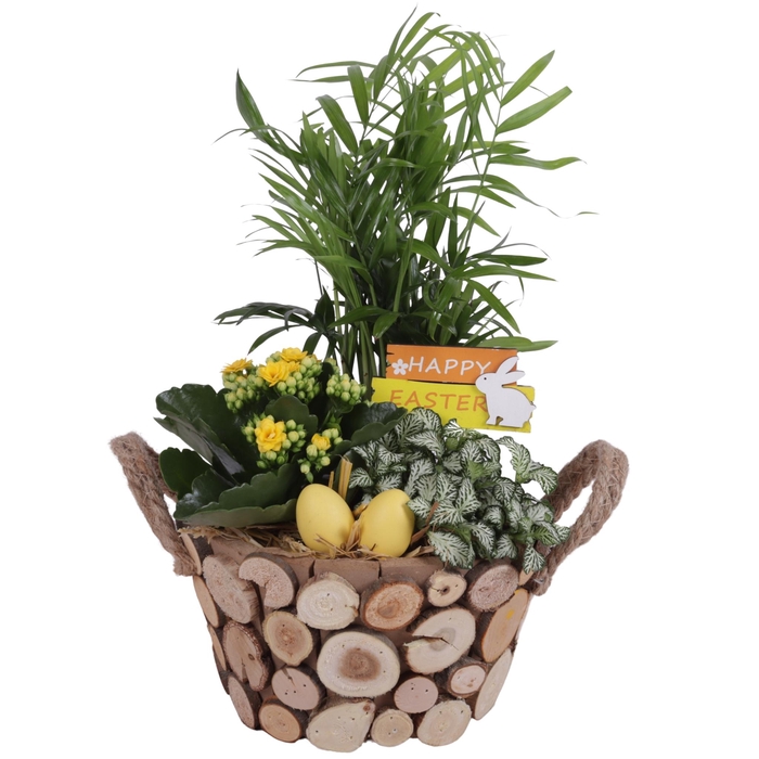 <h4>Easter Arr. Indoor Wooden Pot Round Tree Chucks Ø22cm 3PP</h4>