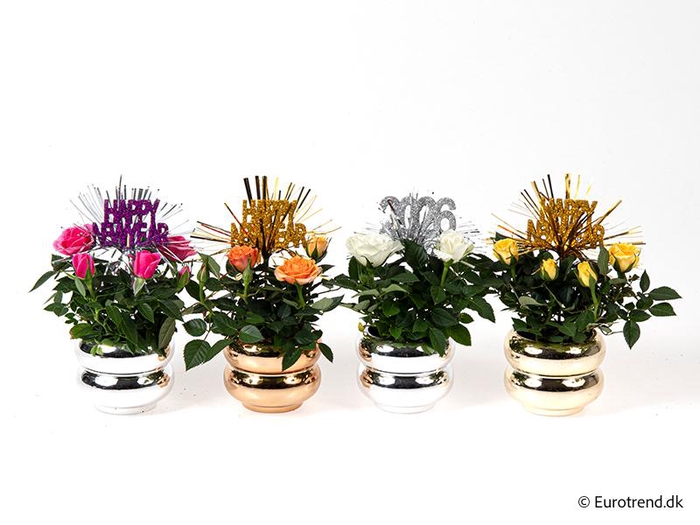 <h4>ROSA-HYBRID KUVERT</h4>