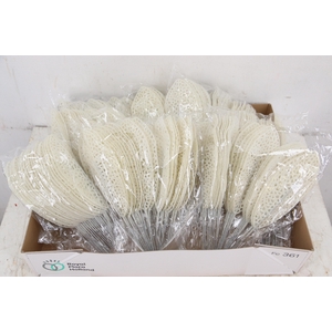 Pick Leaf glitter open 14x6cm+10cm wire white 25pce/bag