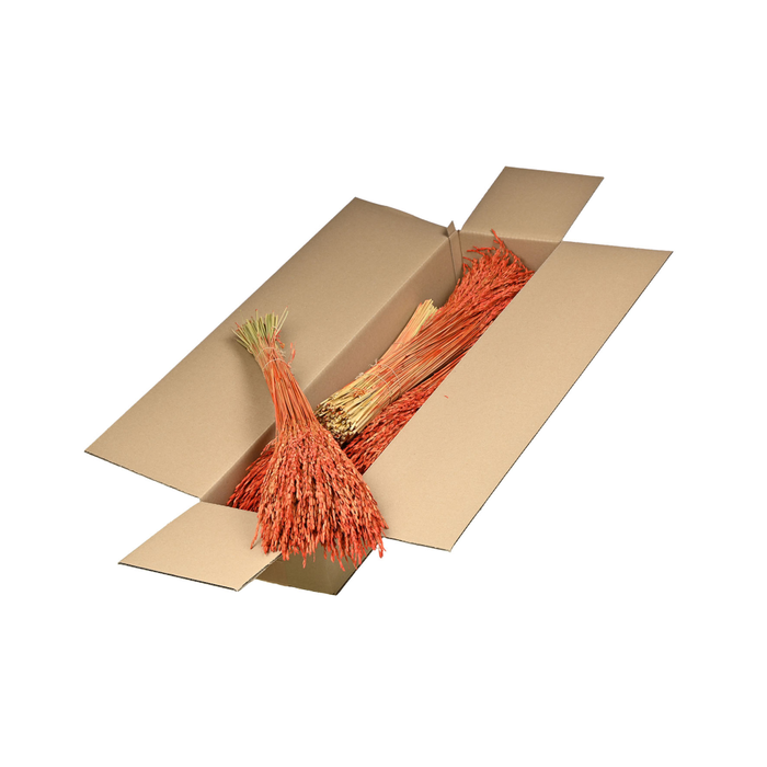 <h4>Rice Sb Burnt Orange</h4>