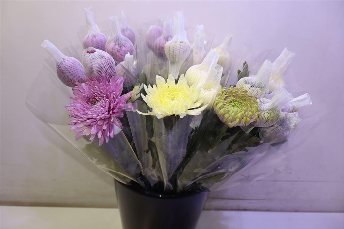 <h4>Chr G Deco Mix</h4>